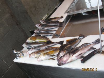 IMG_7043.JPG