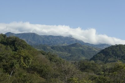 Monteverde Cloud Forest