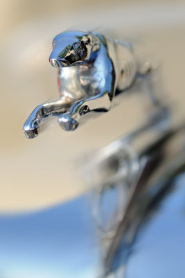 g1/48/211948/3/128651077.cjGey0xm.jpg