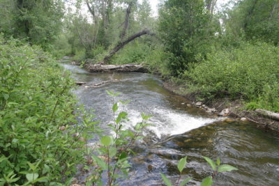 Scout's Run in Gunnison River Ranch