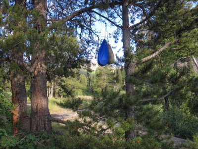 Food bags hung to keep away from bears