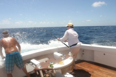 Backing down on Tim's sailfish