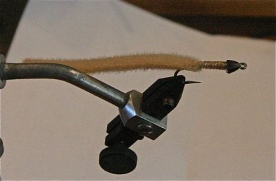 IMG_6989.jpg