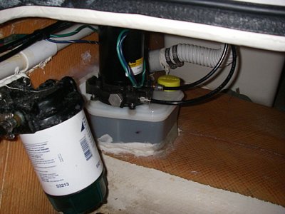 IMGP0213 web.jpg