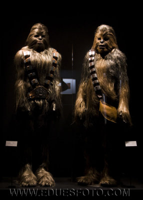 Star Wars The Exhibition (11).jpg