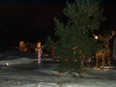 PC250019.JPG