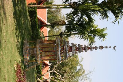 IMG_1333.JPG