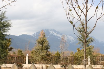 IMG_1469.JPG