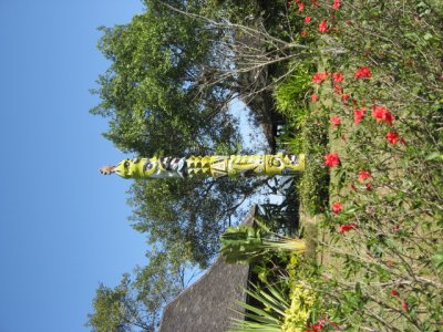 IMG_2651.JPG