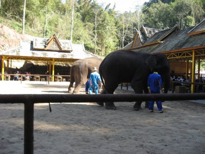 IMG_2744.JPG