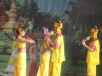IMG_2921.JPG