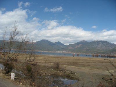 IMG_2954.JPG