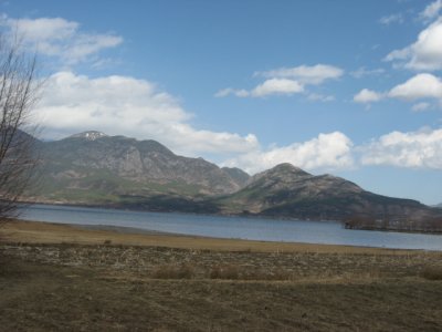 IMG_2965.JPG