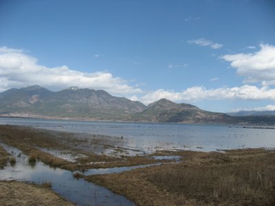 IMG_2972.JPG