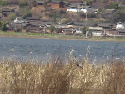 IMG_2975.JPG