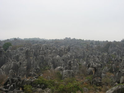 IMG_3059.JPG
