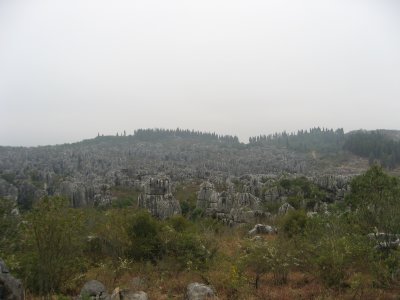 IMG_3062.JPG