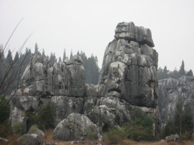 IMG_3071.JPG