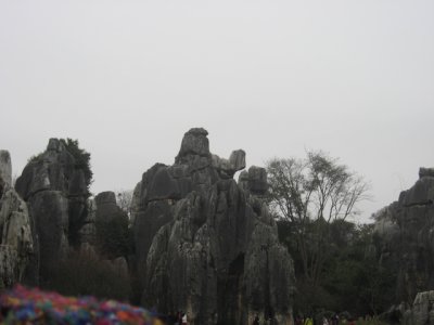 IMG_3077.JPG