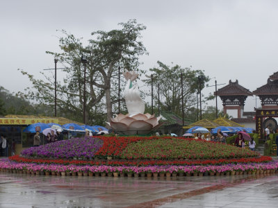 _MG_0910.jpg