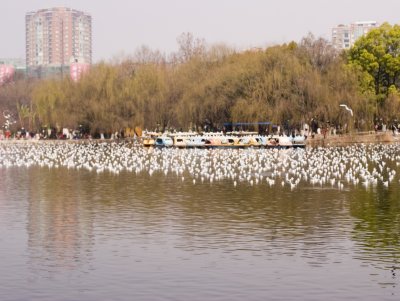 _MG_1586.jpg