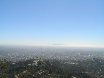 Endless Los Angeles