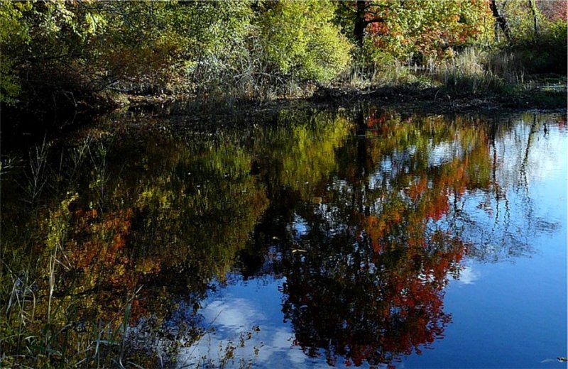 Reflecting Fall ~ October 27th