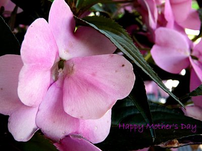 Mother's Day ~ May 10th