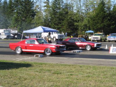 IMG_0348_321.JPG