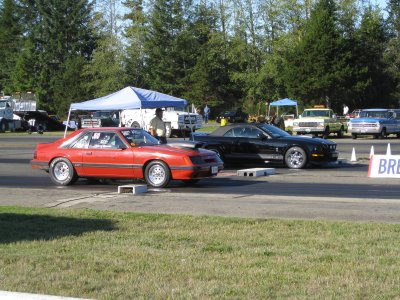 IMG_0354_315.JPG