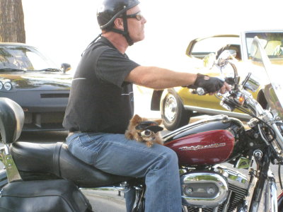 Pentiction 2009 (46).jpg
