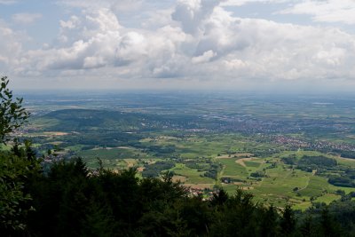 Mont St. Odile-3.jpg