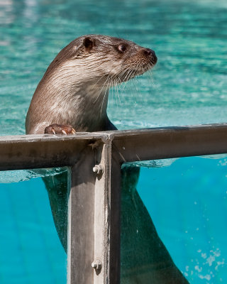g1/48/476648/3/114805360.ps0PX7Ig.jpg