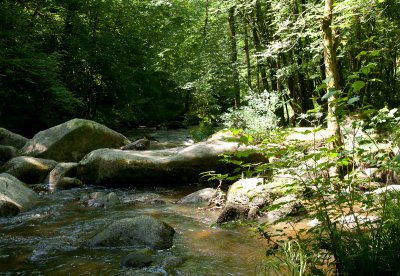 Saut de Chalard