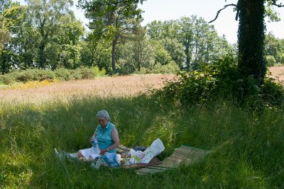 Yet another picknick