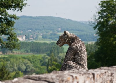 Chteau des Milandes 8