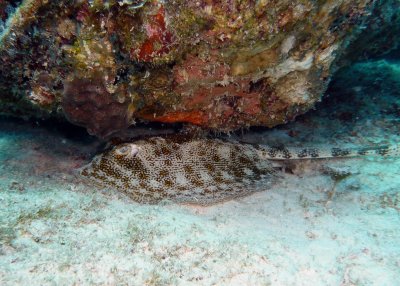 P1020153.JPG