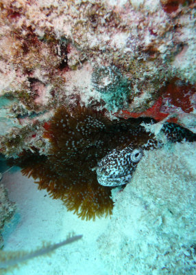 P1020158.JPG