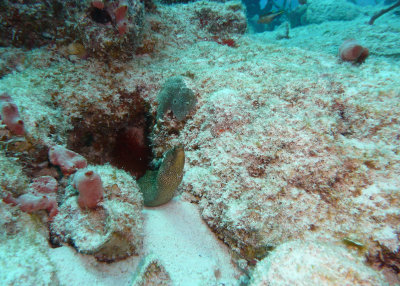 P1020169.JPG