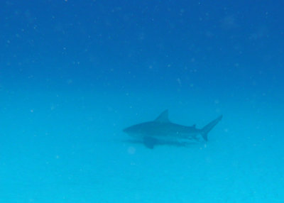 P1020205.JPG