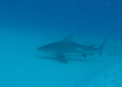 P1020430.JPG