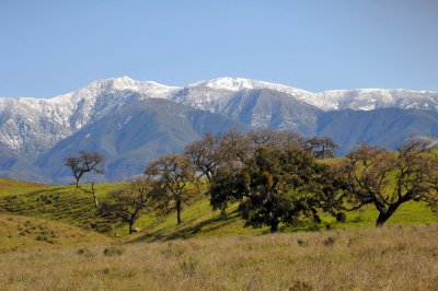 Snow-5.jpg