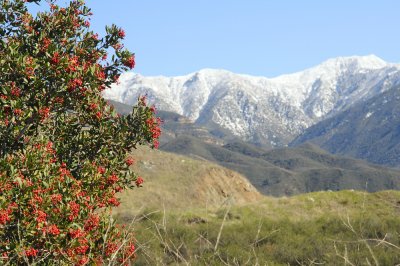 Snow-6.jpg