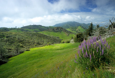 Figueroa Mtn