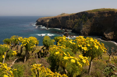 Anacapa North Side View.jpg