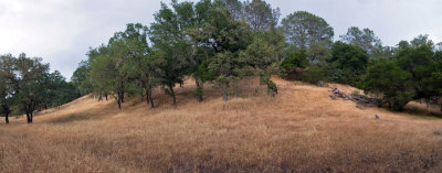 pano-02.jpg