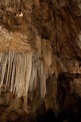 Shasta Caverns
