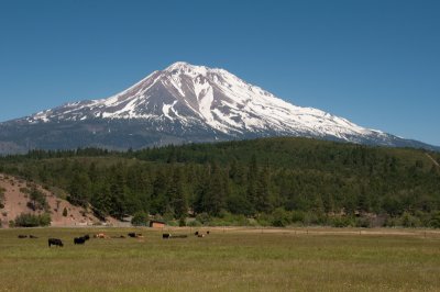 Mt. Shasta