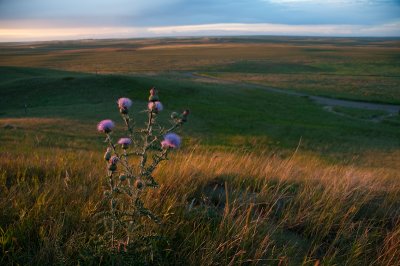 Prairie, Alberta