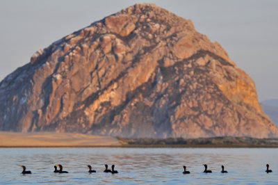 Morro Rock-4.jpg